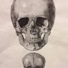 CRANIO