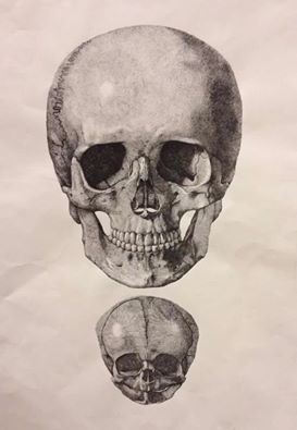 CRANIO